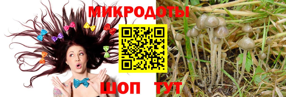 Псилоцибиновые грибы MAGIC MUSHROOMS  Вход с VPN  Лянтор  Псилоцибиновые грибы мухоморы 